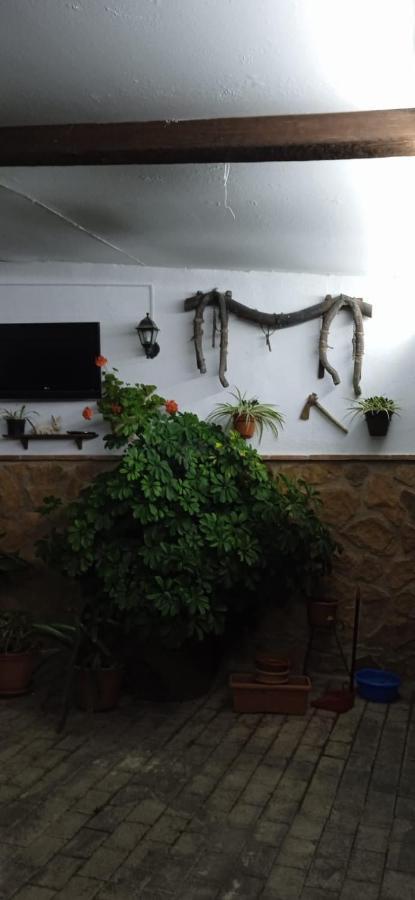 Casa Cueva El Almendro ξενώνας Pegalajar Εξωτερικό φωτογραφία