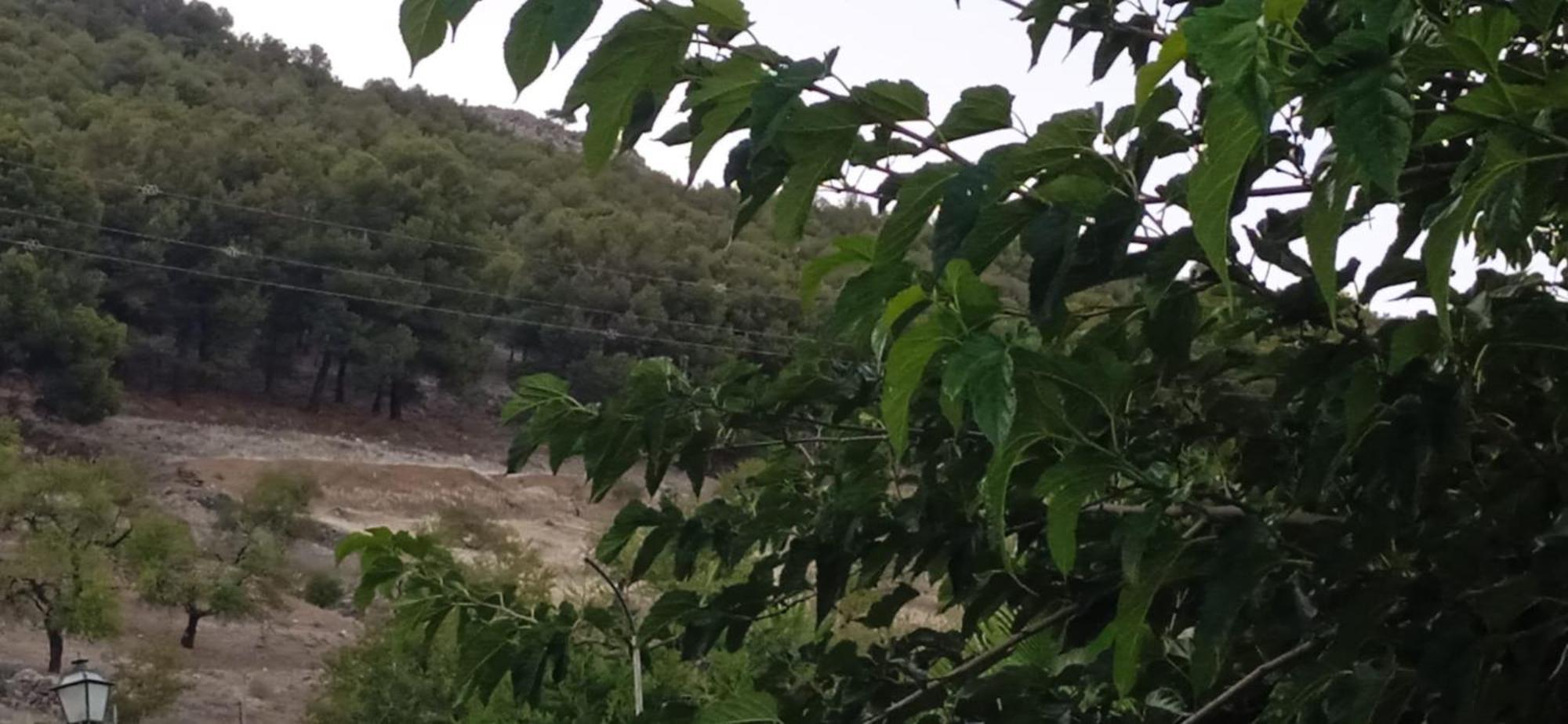 Casa Cueva El Almendro ξενώνας Pegalajar Εξωτερικό φωτογραφία